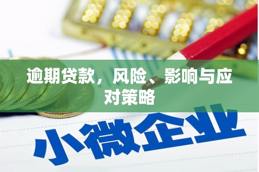 环江逾期贷款，风险、影响与应对策略
