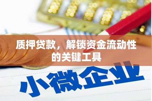 环江质押贷款，解锁资金流动性的关键工具