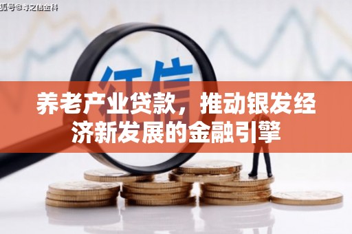 环江养老产业贷款，推动银发经济新发展的金融引擎