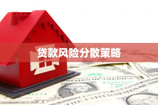 环江贷款风险分散策略