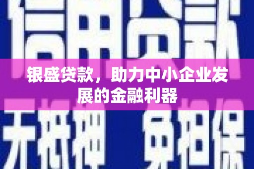 环江银盛贷款，助力中小企业发展的金融利器