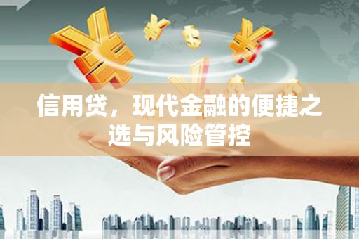 环江信用贷，现代金融的便捷之选与风险管控