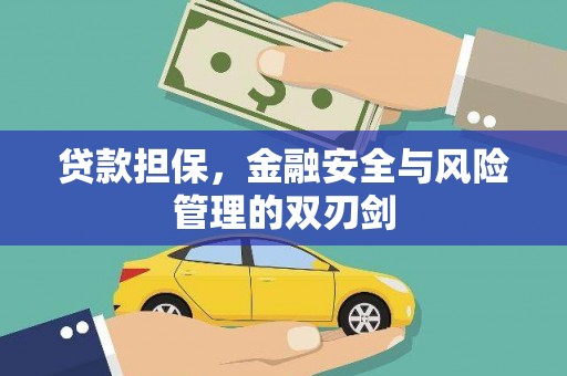 环江贷款担保，金融安全与风险管理的双刃剑