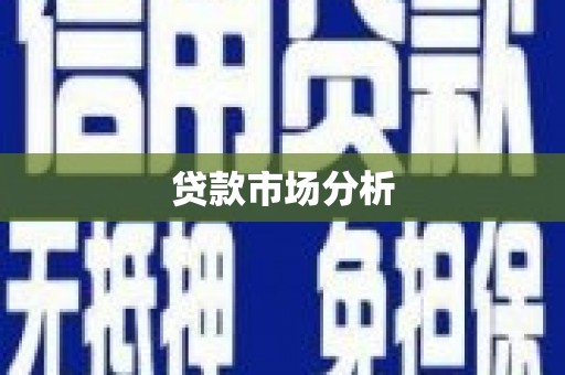 环江贷款市场分析