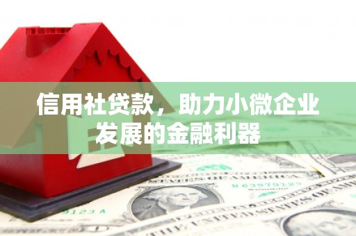环江信用社贷款，助力小微企业发展的金融利器