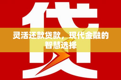 环江灵活还款贷款，现代金融的智慧选择
