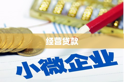 环江经营贷款