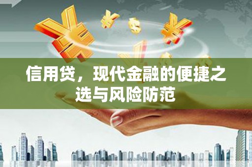 环江信用贷，现代金融的便捷之选与风险防范