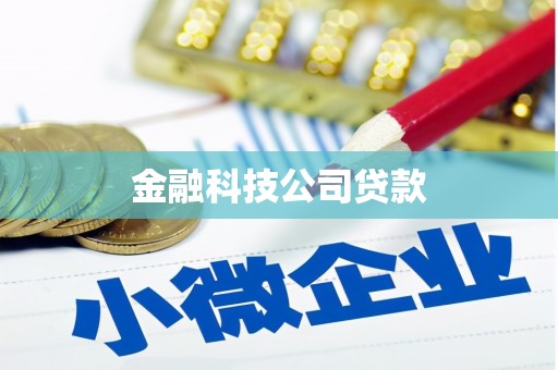 环江金融科技公司贷款