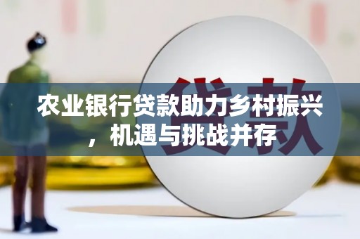 环江农业银行贷款助力乡村振兴，机遇与挑战并存
