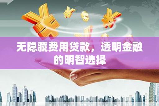 环江无隐藏费用贷款，透明金融的明智选择