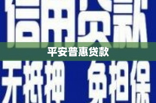 环江平安普惠贷款