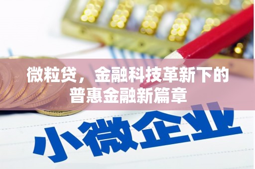 环江微粒贷，金融科技革新下的普惠金融新篇章