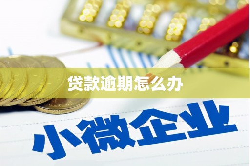 环江贷款逾期怎么办