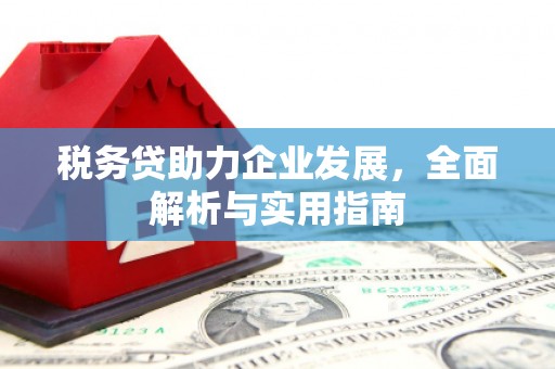 环江税务贷助力企业发展，全面解析与实用指南
