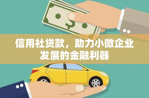 环江信用社贷款，助力小微企业发展的金融利器