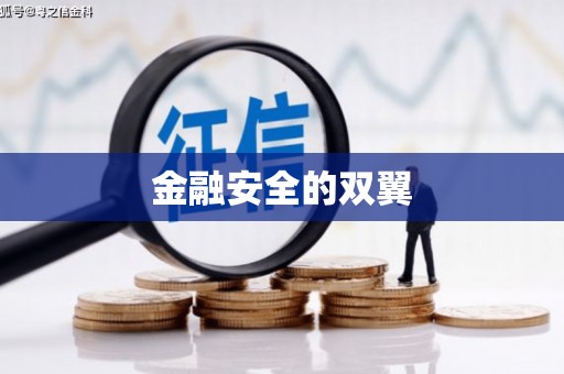环江金融安全的双翼