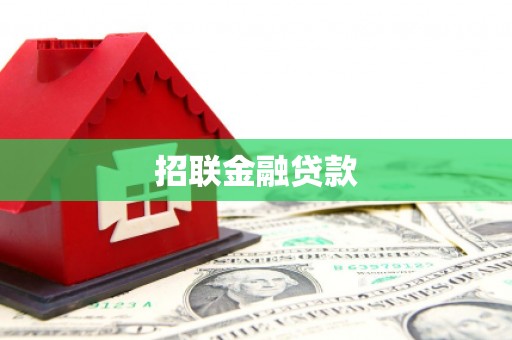 环江招联金融贷款