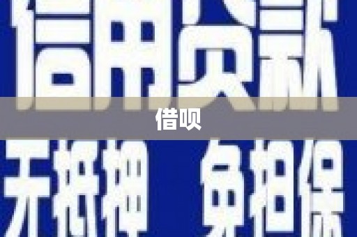 环江借呗