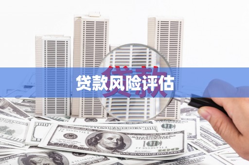 环江贷款风险评估