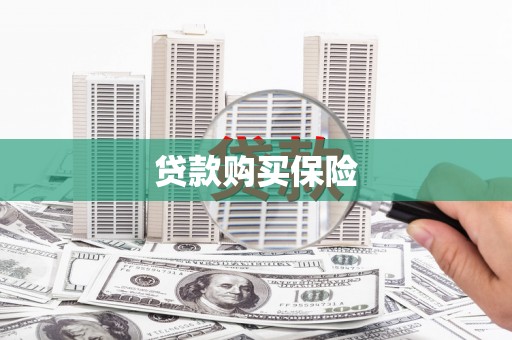 环江贷款购买保险
