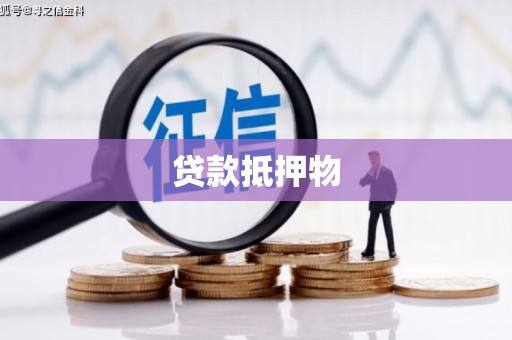 环江贷款抵押物