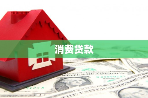 环江消费贷款