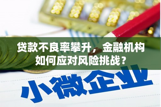 环江贷款不良率攀升，金融机构如何应对风险挑战？