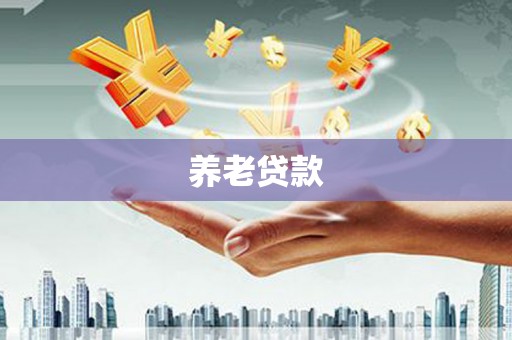 环江养老贷款