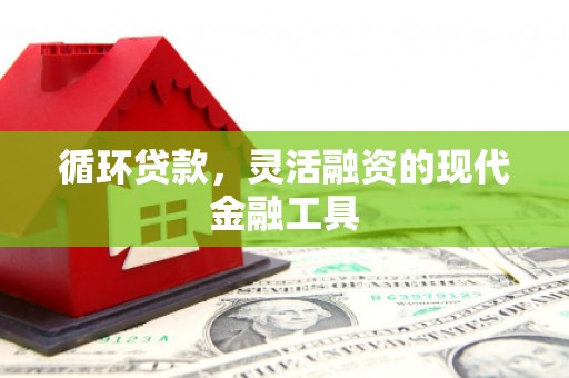 环江循环贷款，灵活融资的现代金融工具