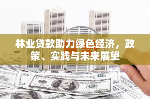 环江林业贷款助力绿色经济，政策、实践与未来展望