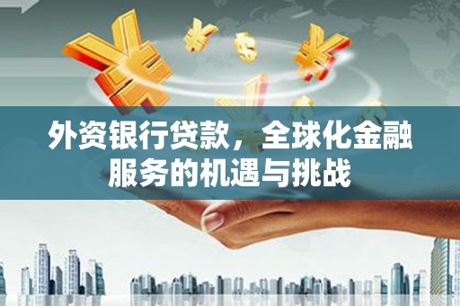 环江外资银行贷款，全球化金融服务的机遇与挑战