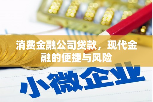 环江消费金融公司贷款，现代金融的便捷与风险