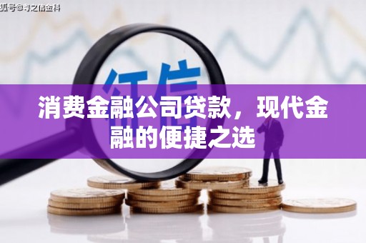 环江消费金融公司贷款，现代金融的便捷之选