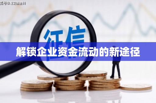 环江解锁企业资金流动的新途径
