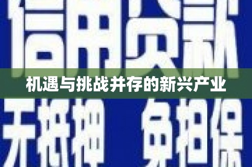 环江机遇与挑战并存的新兴产业
