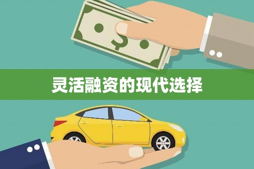 环江灵活融资的现代选择