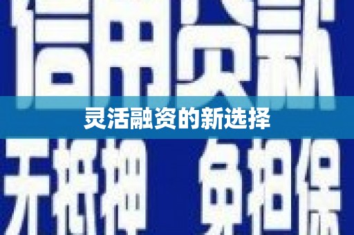 环江灵活融资的新选择