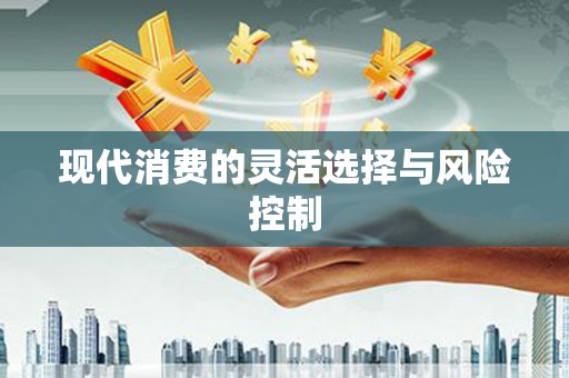 环江现代消费的灵活选择与风险控制
