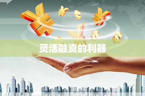 环江灵活融资的利器