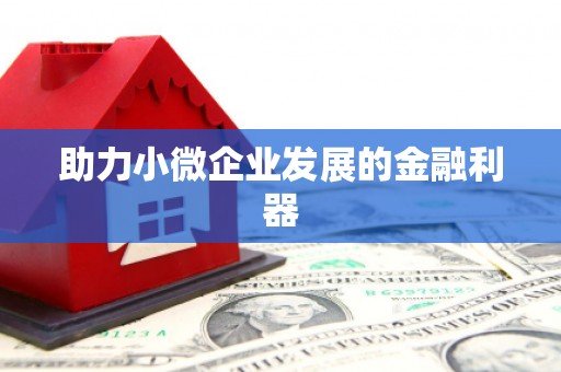 环江助力小微企业发展的金融利器