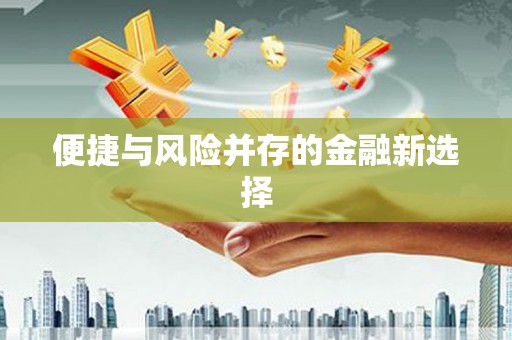 环江便捷与风险并存的金融新选择