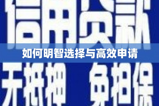 环江如何明智选择与高效申请