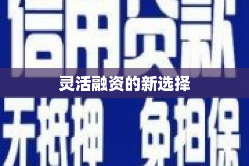 环江灵活融资的新选择