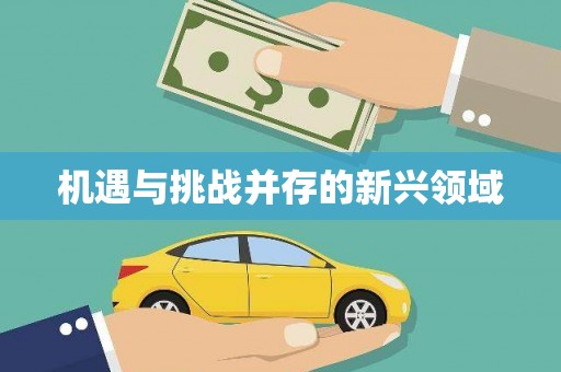 环江机遇与挑战并存的新兴领域