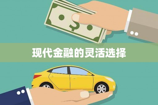 环江现代金融的灵活选择