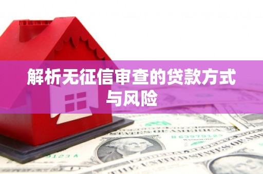 环江解析无征信审查的贷款方式与风险