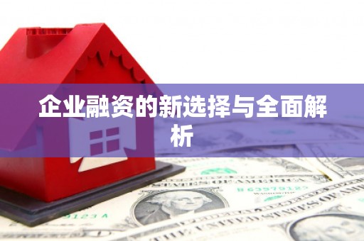 环江企业融资的新选择与全面解析
