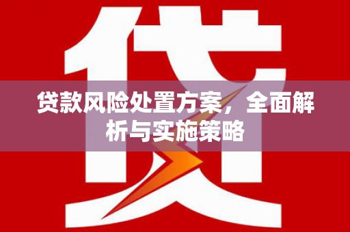 环江贷款风险处置方案，全面解析与实施策略