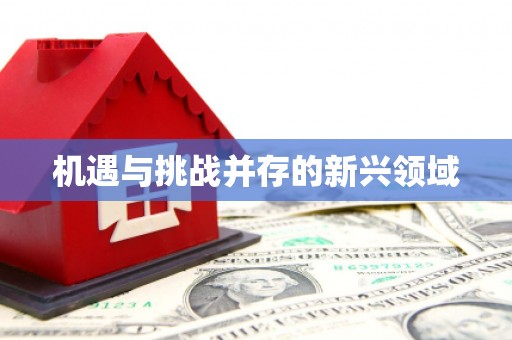 环江机遇与挑战并存的新兴领域